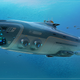 Illustration for article titled Under The Sea (Under The Sea)